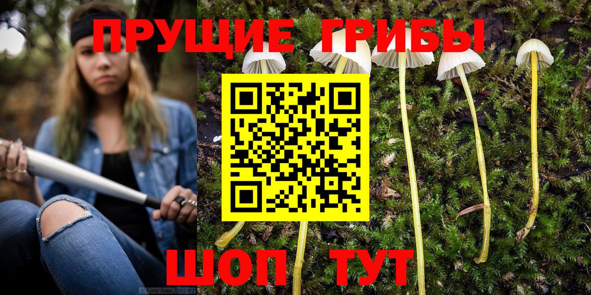 Гусь-Хрустальный  магазин продажи   Вход с VPN  Галлюциногенные грибы мицелий 